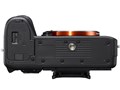 w{ ʁx 7 III ILCE-7M3 {fB̐i摜