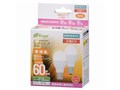 E-Bright LDA6L-G-E17IH212P [�d���F]