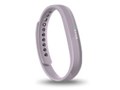 Fitbit Flex 2 FB403LV-JPN [���x���_�[]
