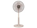 R30J-RV-T [�R�R�A�x�[�W��]
