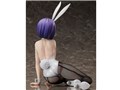 To LOVE��-�Ƃ�Ԃ�- �_�[�N�l�X 1/4 ���A���t�� �o�j�[Ver.