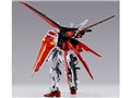 METAL BUILD �G�[���X�g���C�N�K���_��