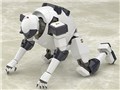 MODEROID �t�����^���E�p�j�b�N�I Invisible Victory 1/60 �T�x�[�W �N���X�{�E