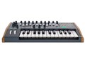MiniBrute 2
