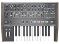 MiniBrute 2