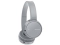WH-CH500 (H) [�O���[]