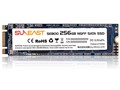 SUNEAST SE800-n256GB