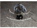 Re�FCREATORS 1/8 �A���^�C�� �X������(�z���v�V�R��)
