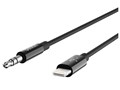 AV10172bt06-BLK [�u���b�N]