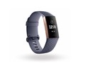 Fitbit Charge 3 FB410RGGY-CJK [�u���[�O���[]