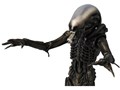 MAFEX �G�C���A�� ALIEN