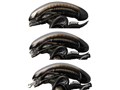 MAFEX �G�C���A�� ALIEN