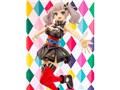 1/7 �P�錎