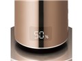 d-design DHBK-218CL-CGD [�V�����p���S�[���h]
