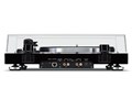 MusicCast VINYL 500 TT-N503