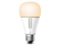 KL110 [�d���F]