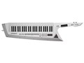 AX-Edge [�z���C�g]