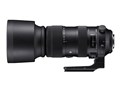60-600mm F4.5-6.3 DG OS HSM [�V�O�}�p]