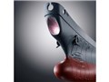 �������� GX-86 �F����̓��}�g2202