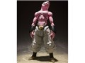 S.H.Figuarts ���l�u�E-��-