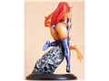 DC COMICS������ DC UNIVERSE 1/7 �X�^�[�t�@�C�A 2nd Edition