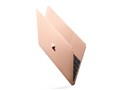 MacBook Retina�f�B�X�v���C 1300/12 MRQP2J/A [�S�[���h]