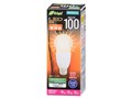 E-Bright LDT13L-G IS20 [�d���F]