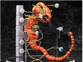 figma R-TYPE �h�u�P���h�v�X