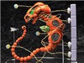 figma R-TYPE �h�u�P���h�v�X