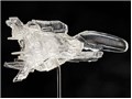 figma R-TYPE �h�u�P���h�v�X