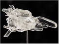 figma R-TYPE �h�u�P���h�v�X