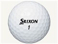 �X���N�\�� Z-STAR 2019�N���f�� [�z���C�g]