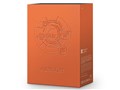 A&futura SE100 fripSide Edition AK-SE100-FSE [128GB]