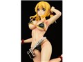 FAIRY TAIL 1/6 ���[�V�B�E�n�[�g�t�B���A�E����Gravure Style �����Noir