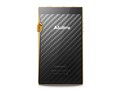 A&ultima SP1000M Gold AK-SP1000M-RG [256GB]