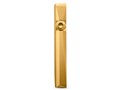 A&ultima SP1000M Gold AK-SP1000M-RG [256GB]