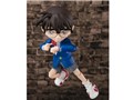 S.H.Figuarts �]�ː� �R�i��