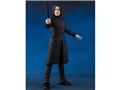 S.H.Figuarts �Z�u���X�E�X�l�C�v