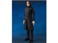 S.H.Figuarts �Z�u���X�E�X�l�C�v