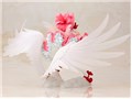 �J�[�h�L���v�^�[������ ARTFX J 1/7 �ؔV�{��