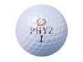 PHYZ 2019�N���f�� [�p�[���z���C�g]