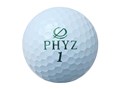 PHYZ 2019�N���f�� [�p�[���O���[��]