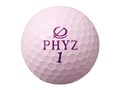 PHYZ 2019�N���f�� [�p�[���s���N]