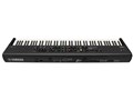 STAGE PIANO CP88