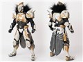 Destiny 2 1/6 �^�C�^�� �J���X�ɑI�΂ꂵ�ҁE�V�F�[�_�[