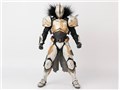 Destiny 2 1/6 �^�C�^�� �J���X�ɑI�΂ꂵ�ҁE�V�F�[�_�[