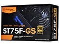 SST-ST75F-GS V3 [�u���b�N]