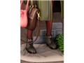 �K�[���Y&�p���c�@�[�ŏI�� 1/7 �m���i