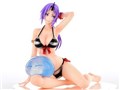 �]��������X���C���������� 1/6 �V�I�� ����Gravure Style RemixII