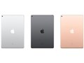 iPad Air 10.5�C���` ��3���� Wi-Fi 256GB 2019�N�t���f�� MUUQ2J/A [�X�y�[�X�O���C]